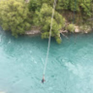 Meet your Posher, Avery